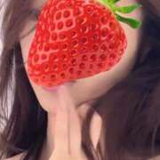 ヒメ日記 2026/03/10 09:13 投稿 ゆみ しろうさぎ