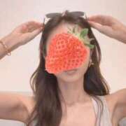 ヒメ日記 2026/04/14 08:43 投稿 ゆみ しろうさぎ