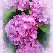 ヒメ日記 2025/07/04 21:41 投稿 みそら 熟女の風俗最終章 宇都宮店