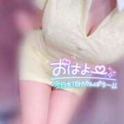 ヒメ日記 2025/06/04 07:03 投稿 める Blue Moon