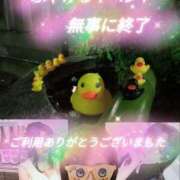 ヒメ日記 2025/01/29 11:06 投稿 あい 尻舐め女