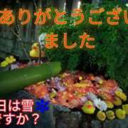 ヒメ日記 2025/02/02 01:03 投稿 あい 尻舐め女