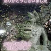 ヒメ日記 2025/02/17 19:22 投稿 あい 尻舐め女