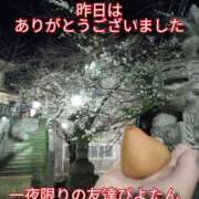 ヒメ日記 2025/02/20 11:32 投稿 あい 尻舐め女