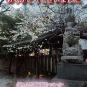 ヒメ日記 2025/02/24 06:27 投稿 あい 尻舐め女