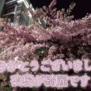 ヒメ日記 2025/03/15 00:27 投稿 あい 尻舐め女