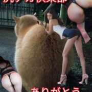 ヒメ日記 2025/03/20 02:36 投稿 あい 尻舐め女