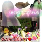 ヒメ日記 2025/03/22 17:48 投稿 あい 尻舐め女