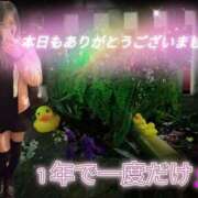 ヒメ日記 2025/03/30 01:00 投稿 あい 尻舐め女