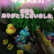 ヒメ日記 2025/04/01 06:25 投稿 あい 尻舐め女