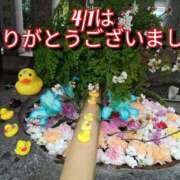 ヒメ日記 2025/04/03 18:19 投稿 あい 尻舐め女