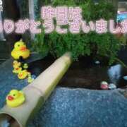 ヒメ日記 2025/04/19 10:47 投稿 あい 尻舐め女
