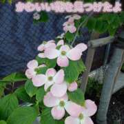 ヒメ日記 2025/04/29 19:27 投稿 あい 尻舐め女