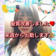 ヒメ日記 2025/05/05 10:59 投稿 あい 尻舐め女