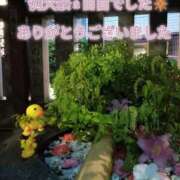 ヒメ日記 2025/05/12 12:06 投稿 あい 尻舐め女