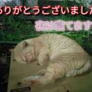 ヒメ日記 2025/05/13 10:45 投稿 あい 尻舐め女