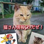 ヒメ日記 2025/05/13 20:42 投稿 あい 尻舐め女