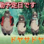 ヒメ日記 2025/05/17 08:20 投稿 あい 尻舐め女