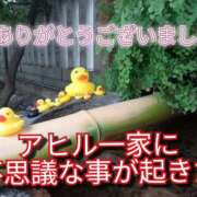 ヒメ日記 2025/05/18 22:42 投稿 あい 尻舐め女