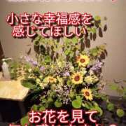 ヒメ日記 2025/05/26 19:57 投稿 あい 尻舐め女