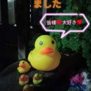 ヒメ日記 2025/06/04 23:12 投稿 あい 尻舐め女