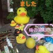 ヒメ日記 2025/06/08 19:03 投稿 あい 尻舐め女