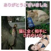 ヒメ日記 2025/06/14 10:53 投稿 あい 尻舐め女