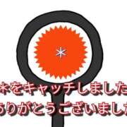 ヒメ日記 2025/06/20 21:24 投稿 あい 尻舐め女