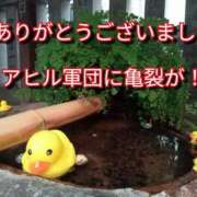 ヒメ日記 2025/07/13 19:09 投稿 あい 尻舐め女