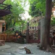 ヒメ日記 2025/07/14 10:38 投稿 あい 尻舐め女