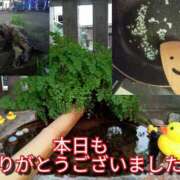 ヒメ日記 2025/07/19 05:23 投稿 あい 尻舐め女