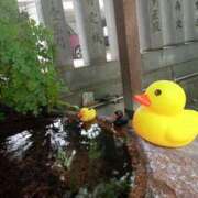 ヒメ日記 2025/07/21 08:01 投稿 あい 尻舐め女