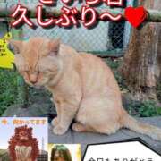 ヒメ日記 2025/07/31 20:36 投稿 あい 尻舐め女