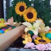 ヒメ日記 2025/08/01 20:43 投稿 あい 尻舐め女