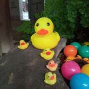 ヒメ日記 2025/08/06 10:03 投稿 あい 尻舐め女