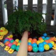 ヒメ日記 2025/08/09 22:01 投稿 あい 尻舐め女