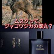 ヒメ日記 2025/08/10 09:00 投稿 あい 尻舐め女