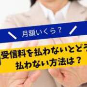 ヒメ日記 2025/08/24 14:51 投稿 あい 尻舐め女
