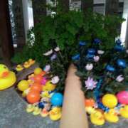 ヒメ日記 2025/09/02 18:48 投稿 あい 尻舐め女