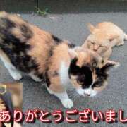 ヒメ日記 2025/09/12 01:26 投稿 あい 尻舐め女