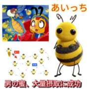 ヒメ日記 2025/09/19 21:58 投稿 あい 尻舐め女