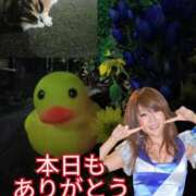 ヒメ日記 2025/10/08 19:32 投稿 あい 尻舐め女