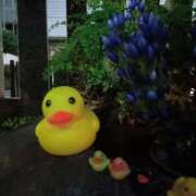 ヒメ日記 2025/10/16 04:54 投稿 あい 尻舐め女