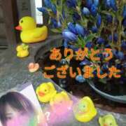 ヒメ日記 2025/10/19 19:24 投稿 あい 尻舐め女