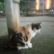 ヒメ日記 2025/10/24 11:18 投稿 あい 尻舐め女