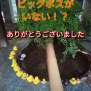 ヒメ日記 2025/10/29 23:09 投稿 あい 尻舐め女