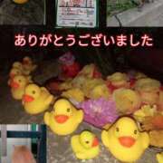 ヒメ日記 2025/11/07 18:31 投稿 あい 尻舐め女