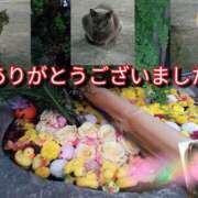 ヒメ日記 2025/11/16 19:42 投稿 あい 尻舐め女