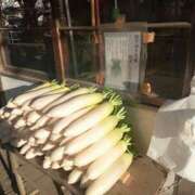 ヒメ日記 2025/12/05 17:40 投稿 あい 尻舐め女