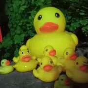 ヒメ日記 2026/01/06 21:13 投稿 あい 尻舐め女